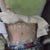 3 days post op.