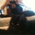 ....and the cat  =^.^=