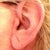 left ear scar just a little pink