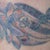 6th session - 1 week