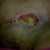My hole pray for me I'm scared