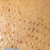 This picture is 175% zoomed in just to see how the spot looks in close-up.