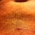 day 6 incision