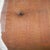 2weeks belly button does not hurt