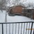 first snowfall over an inch
