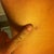 Scars healing nicely