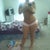this is a girl on here I love what the doc did for her!! love her hips and tummy