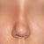 tip upturned and nostrils uneven
