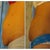 5 day post / 14 day post side