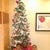 my family on Christmas day