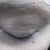 eyelashes are much longer! I will try to take better pictures!