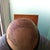 1day after