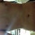 2 weeks post-op, normal front torso view. Taken with front iphone camera (not the best sorry). Not sure why they are positioned like this in the quick-view mode, enlarge them to see the normal view. Sorry guys and gals!