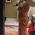 This is another dress that I saved from loooonnnngggg time ago....