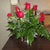 flowers from DR.P :)
