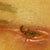 Issues healing and what looks like the start of infection. Treated it with neosporin for two weeks. WOULD NOT HEAL!