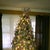 our lovely tree