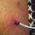 Drain tube hole