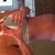 6 Weeks Side - Sorry it's a bit blurry