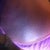 Close up 3 weeks po