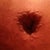 My belly button