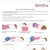 breast pillow insert