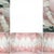 These are the photos my orthodontist took on day one, the markings on the top right are markings for attachments and things.