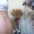 Side view, muscles relaxed