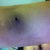 after 4 weeks