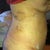 Side,day 3 post op