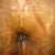 My BEAUTIFUL belly button.  He did a perfect job on it