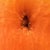 My new belly button. I have no clue why it's red but you get the idea.
