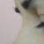 profile after 13 days post op