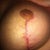 right at 7 weeks