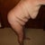 before shot bending over...............omg