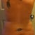 Back 8 weeks post surgery