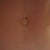 Ear plug inside my bb