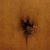 Belly button 11 days. Says to clean with soap and water only.