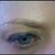 Right Eyebrow...Week 0