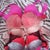 va-va-voooom...6 new bras for $100!!! paying my husband back for nursing me through recovery while our twins had the flu!