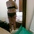 back view one week before TT and I am having lipo of the upper back as well as the flanks and abs