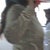 Before surgery. Sorry so blurry. It shows how deflated I was on the top.