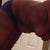 Bending over. Ugh! This really makes the skin and fat deposits show clearly.