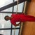 My 1st day back at work med scrubs 4 weeks postoperative TT