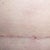 So thin..Wonder what It will look like in few months!