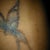 Close up. (July 2nd)
