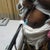 DAY OF SURGERY - TUMMY