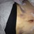 Post op day 2