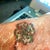 1 hour post 1st treatment. There is clear bandage on my tattoo, so it does effect the look of my skin.