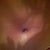 belly button close up! 17days.